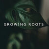 growing_roots